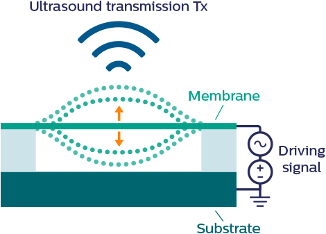 CMUT transmitter - capacitive micromachined ultrasonic transducers